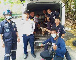 %e0%b8%9e%e0%b8%9a%e0%b8%88%e0%b8%a3%e0%b8%b0%e0%b9%80%e0%b8%82%e0%b9%89%e0%b8%b2%e0%b8%81%e0%b8%a5%e0%b8%b2%e0%b8%87%e0%b8%8a%e0%b8%b8%e0%b8%a1%e0%b8%8a%e0%b8%99%e0%b8%a2%e0%b9%88%e0%b8%b2%e0%b8%99