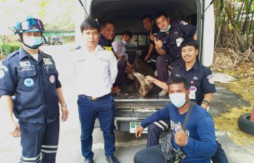 %e0%b8%9e%e0%b8%9a%e0%b8%88%e0%b8%a3%e0%b8%b0%e0%b9%80%e0%b8%82%e0%b9%89%e0%b8%b2%e0%b8%81%e0%b8%a5%e0%b8%b2%e0%b8%87%e0%b8%8a%e0%b8%b8%e0%b8%a1%e0%b8%8a%e0%b8%99%e0%b8%a2%e0%b9%88%e0%b8%b2%e0%b8%99