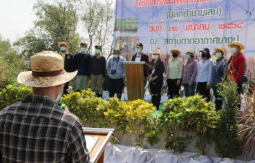 %e0%b9%80%e0%b8%97%e0%b8%a8%e0%b8%9a%e0%b8%b2%e0%b8%a5%e0%b8%95%e0%b8%b3%e0%b8%9a%e0%b8%a5%e0%b8%9a%e0%b8%b2%e0%b8%87%e0%b8%9b%e0%b8%b9-%e0%b8%88%e0%b8%b1%e0%b8%94%e0%b9%82%e0%b8%84%e0%b8%a3-11