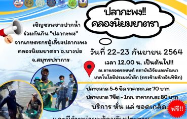 %e0%b9%80%e0%b8%8a%e0%b8%b4%e0%b8%8d%e0%b8%8a%e0%b8%a7%e0%b8%99%e0%b8%8a%e0%b8%b2%e0%b8%a7%e0%b8%9b%e0%b8%b2%e0%b8%81%e0%b8%99%e0%b9%89%e0%b8%b3-%e0%b8%a3%e0%b9%88%e0%b8%a7%e0%b8%a1%e0%b8%81%e0%b8%b1