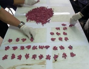 %e0%b8%81%e0%b8%a3%e0%b8%a1%e0%b8%a8%e0%b8%b8%e0%b8%a5%e0%b8%81%e0%b8%b2%e0%b8%81%e0%b8%a3%e0%b8%82%e0%b8%b2%e0%b8%99%e0%b8%a3%e0%b8%b1%e0%b8%9a%e0%b8%99%e0%b9%82%e0%b8%a2%e0%b8%9a%e0%b8%b2%e0%b8%a2