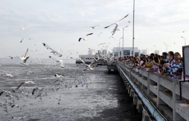 %e0%b8%aa%e0%b8%96%e0%b8%b2%e0%b8%99%e0%b8%95%e0%b8%b2%e0%b8%81%e0%b8%ad%e0%b8%b2%e0%b8%81%e0%b8%b2%e0%b8%a8%e0%b8%9a%e0%b8%b2%e0%b8%87%e0%b8%9b%e0%b8%b9-%e0%b8%84%e0%b8%b6%e0%b8%81%e0%b8%84%e0%b8%b1