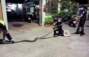 %e0%b8%a1%e0%b8%b9%e0%b8%a5%e0%b8%99%e0%b8%b4%e0%b8%98%e0%b8%b4%e0%b8%a3%e0%b9%88%e0%b8%a7%e0%b8%a1%e0%b8%81%e0%b8%b8%e0%b8%a8%e0%b8%a5-%e0%b8%aa%e0%b8%a1%e0%b8%b8%e0%b8%97%e0%b8%a3%e0%b8%9b-29